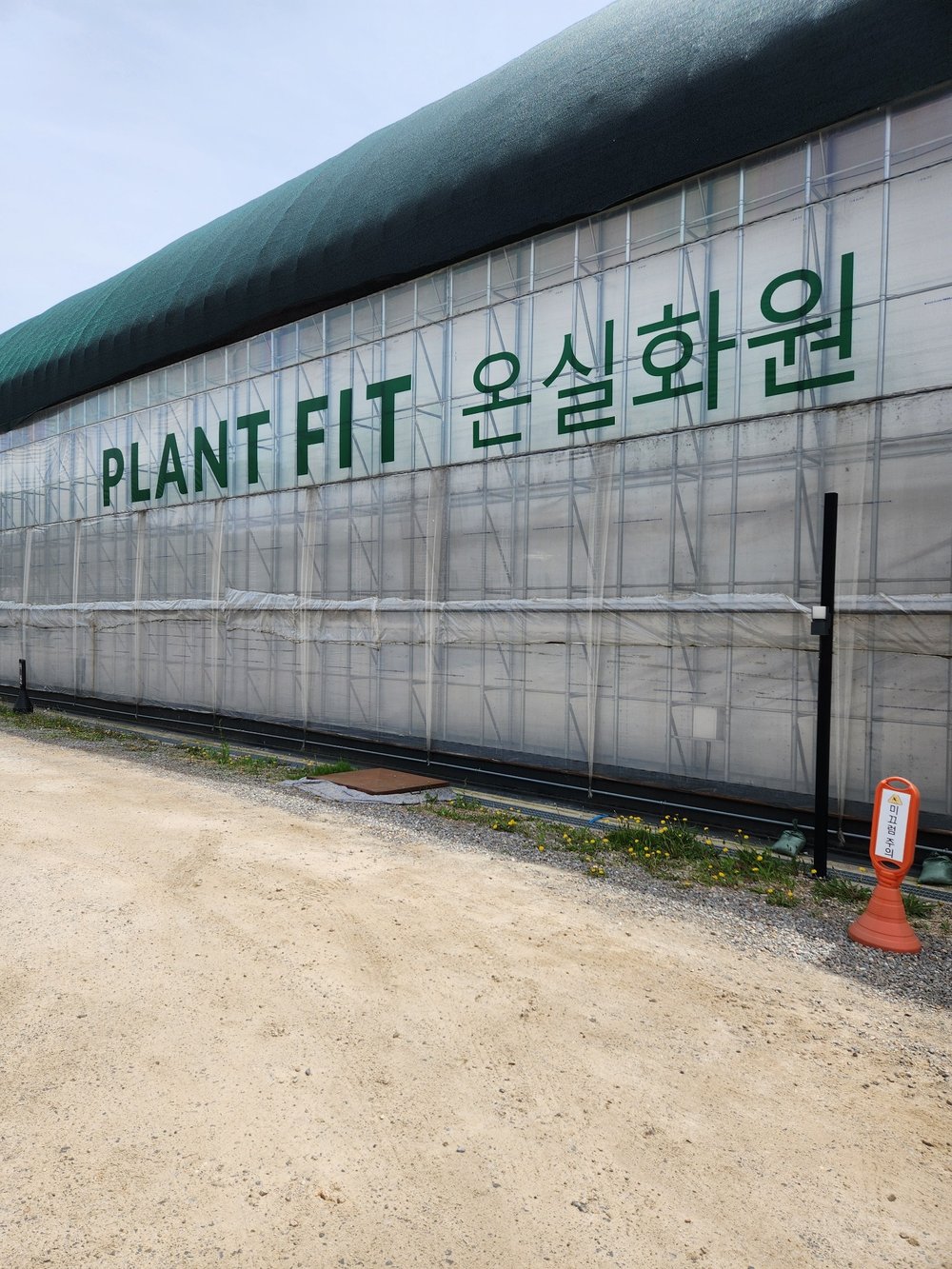 플랜트핏 매장 내 화분과 식물 진열대